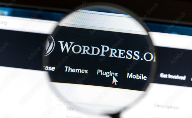 WordPress Design